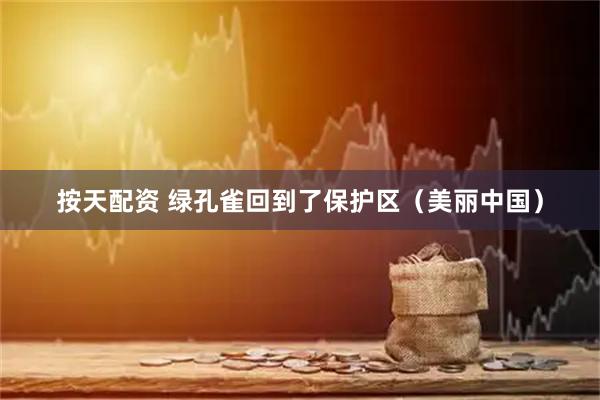 按天配资 绿孔雀回到了保护区（美丽中国）
