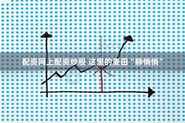 配资网上配资炒股 这里的麦田“静悄悄”
